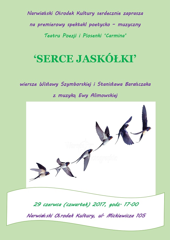 serce jaskolki